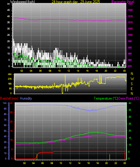 24 Hour Graph for Day 29