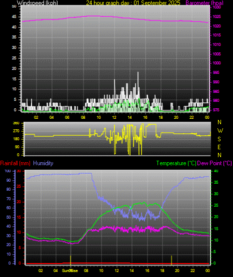 24 Hour Graph for Day 01