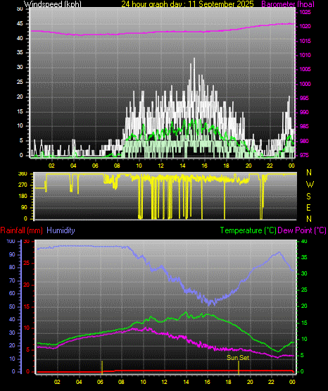 24 Hour Graph for Day 11