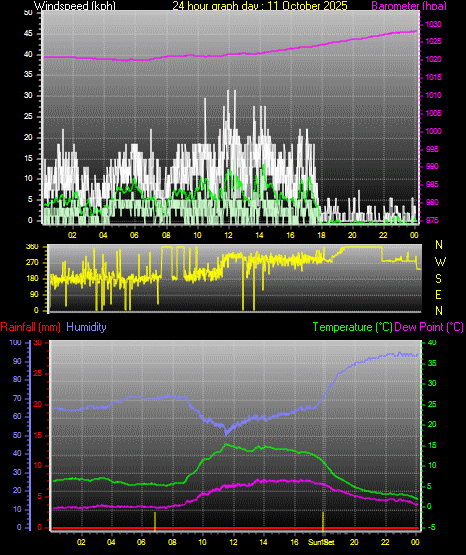 24 Hour Graph for Day 11