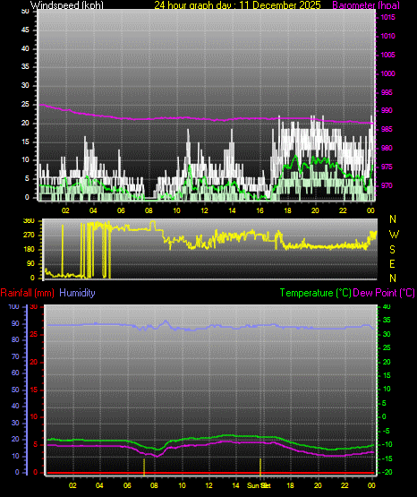 24 Hour Graph for Day 11