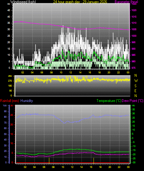 24 Hour Graph for Day 29