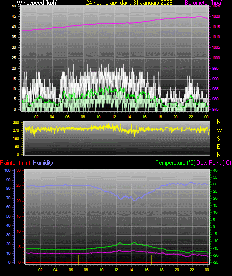 24 Hour Graph for Day 31